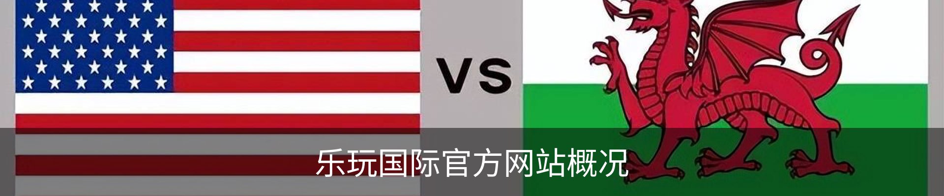 乐玩国际官方网站概况